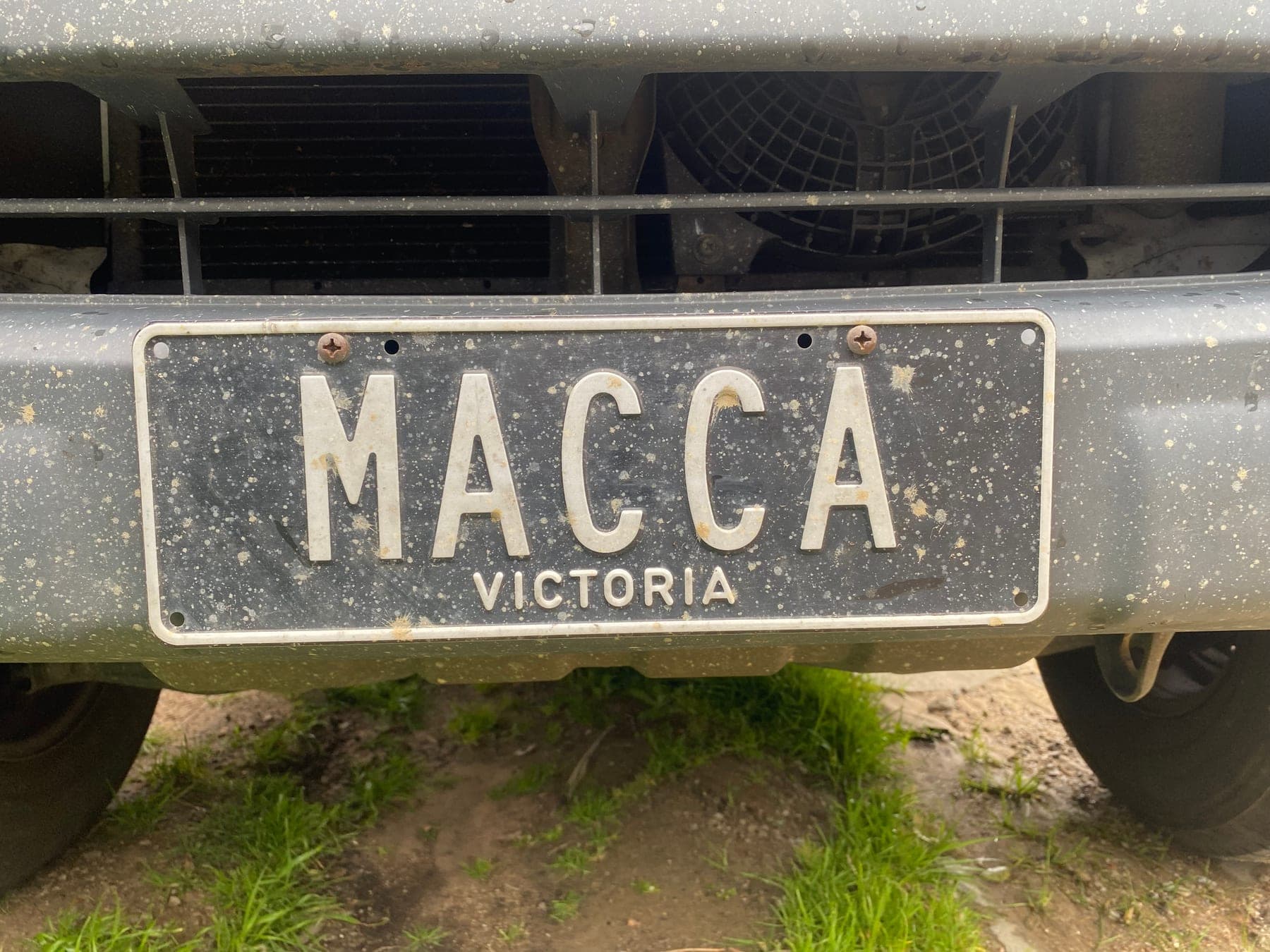 MACCA photo 2