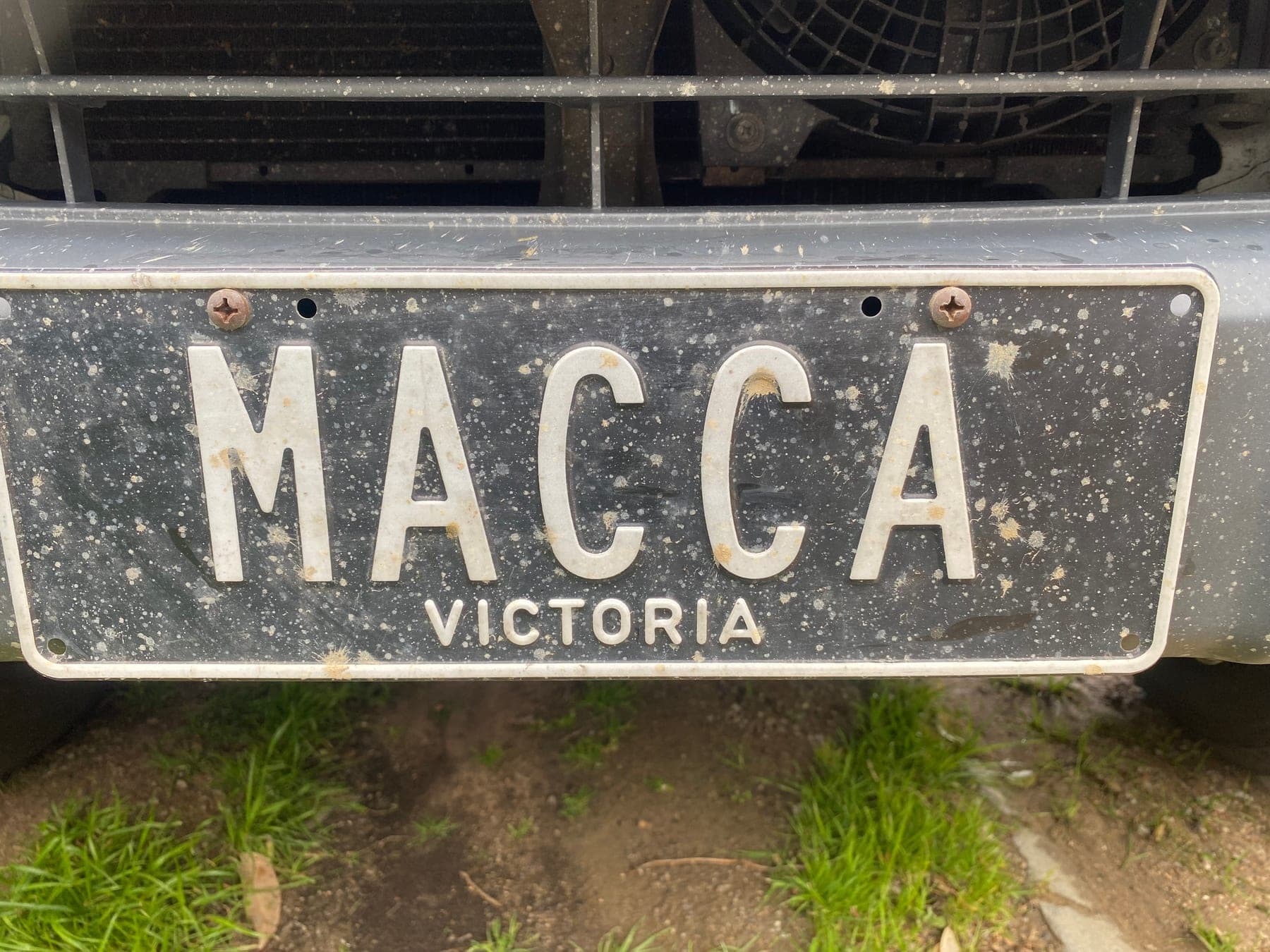 MACCA photo 3