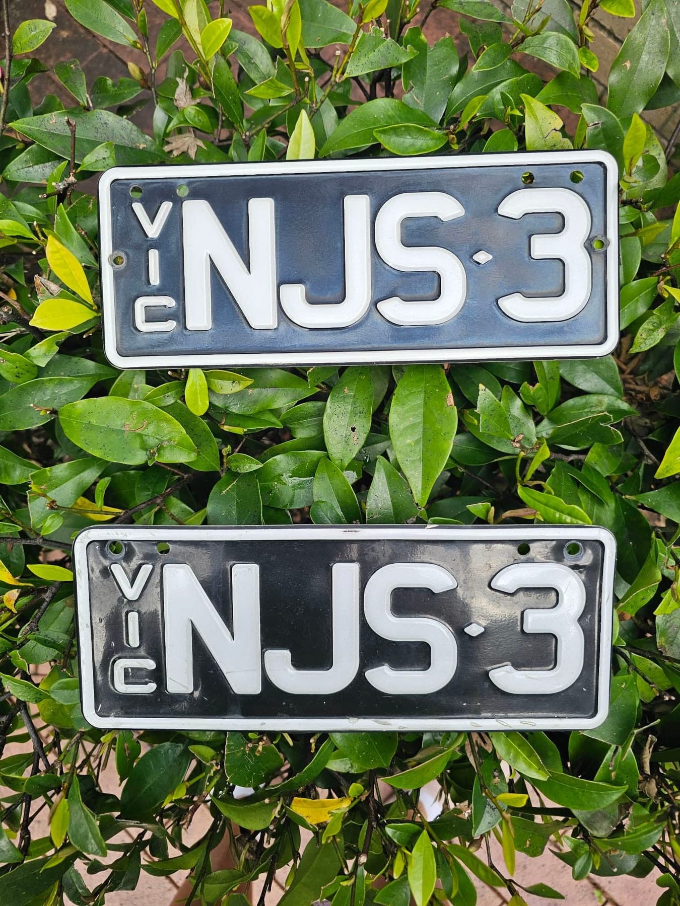 NJS3 photo 1