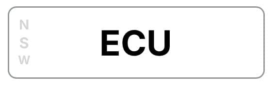 ECU photo 1