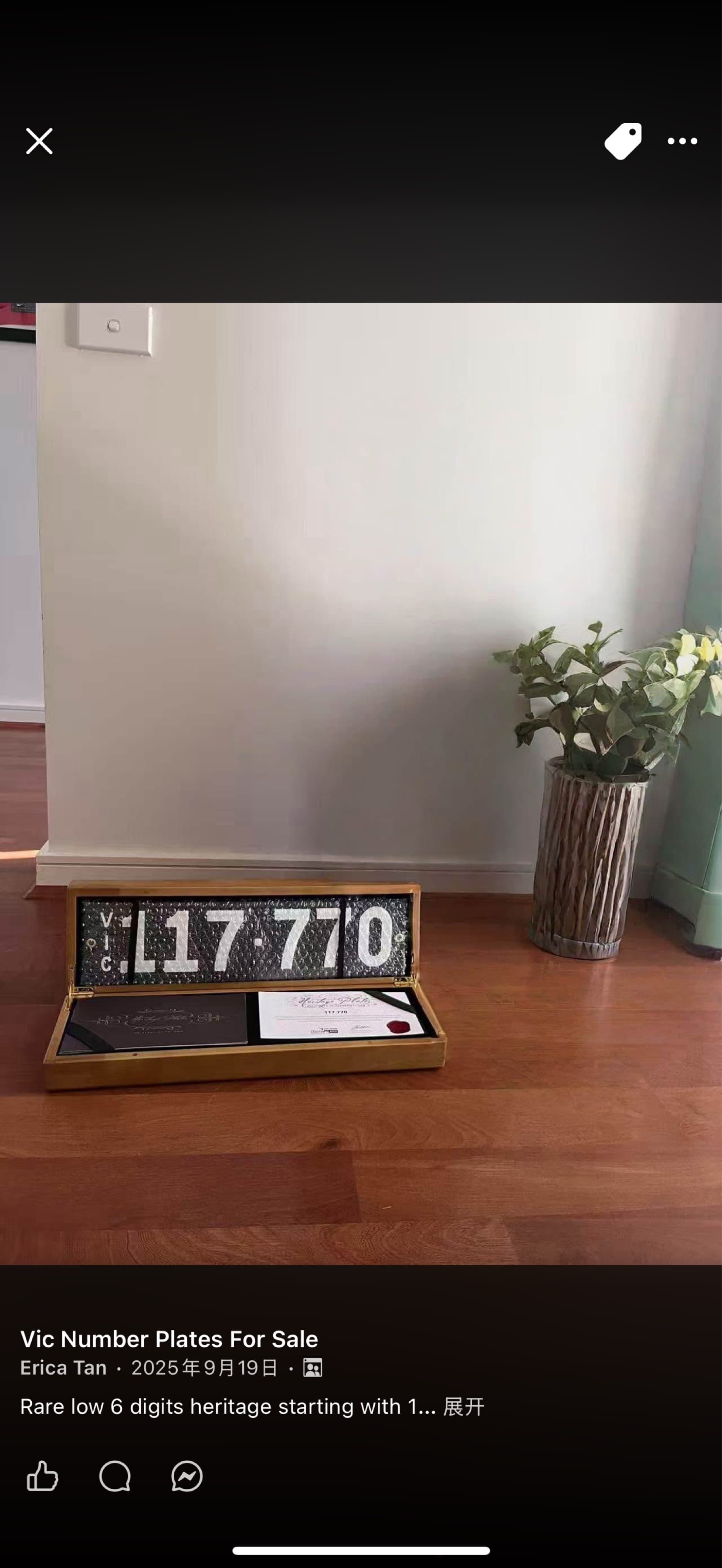 117770 photo 1