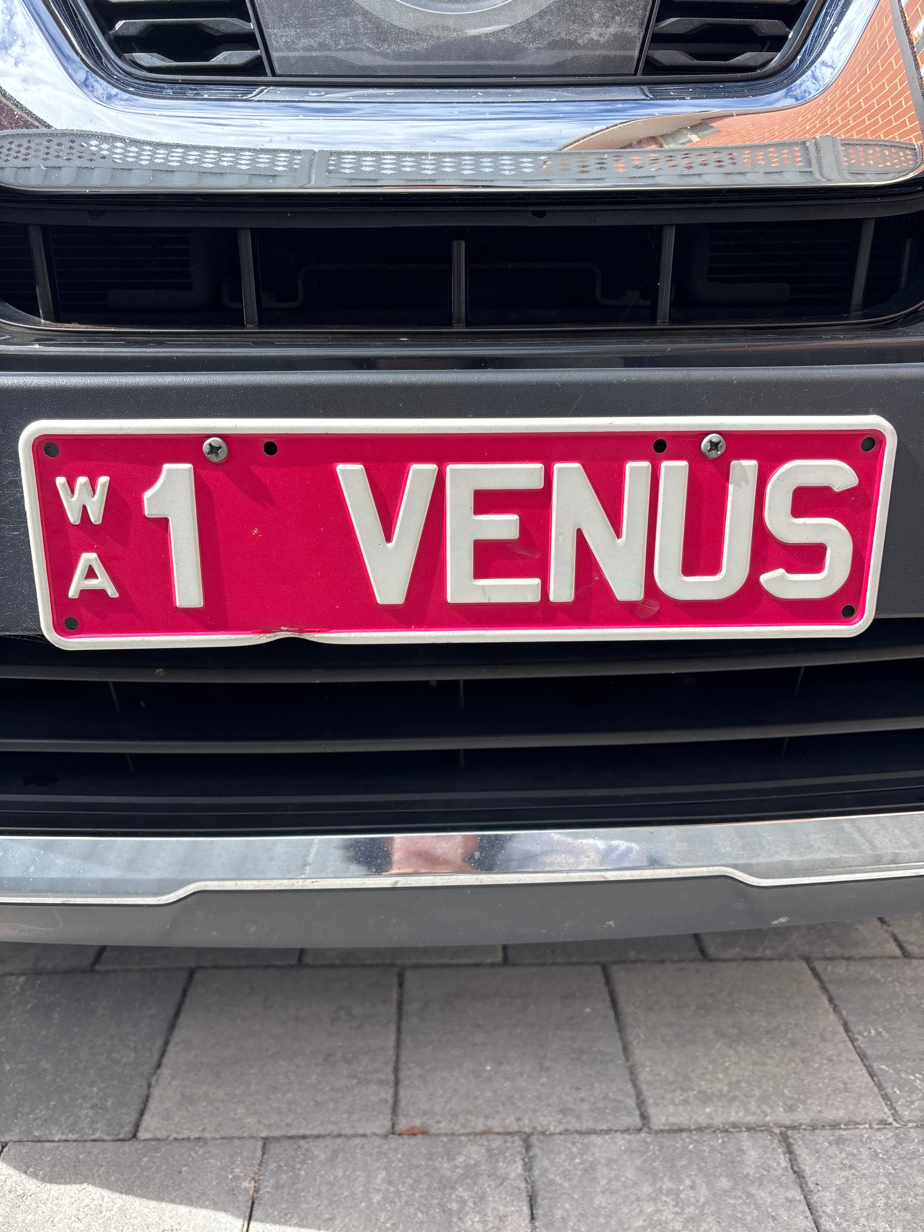 1VENUS photo 1