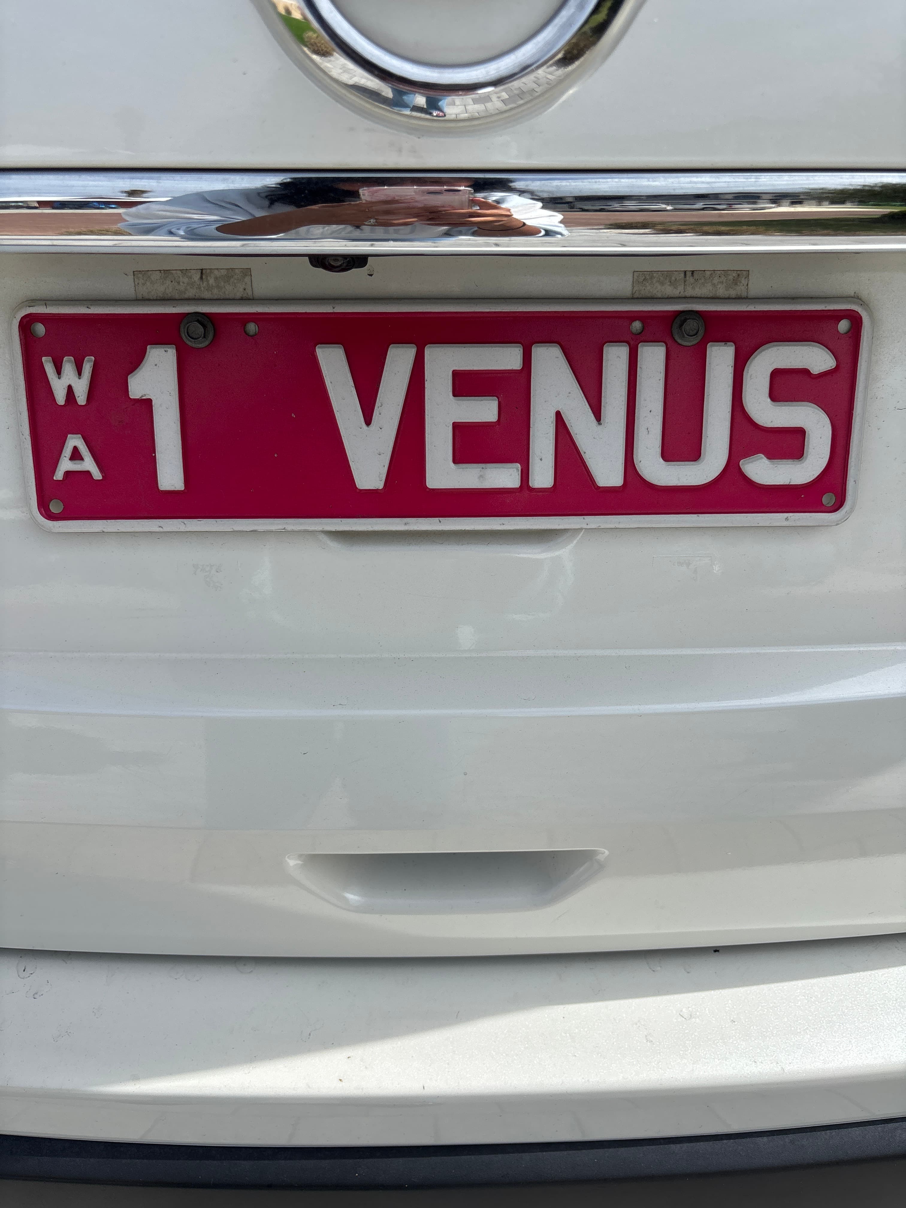 1VENUS photo 2