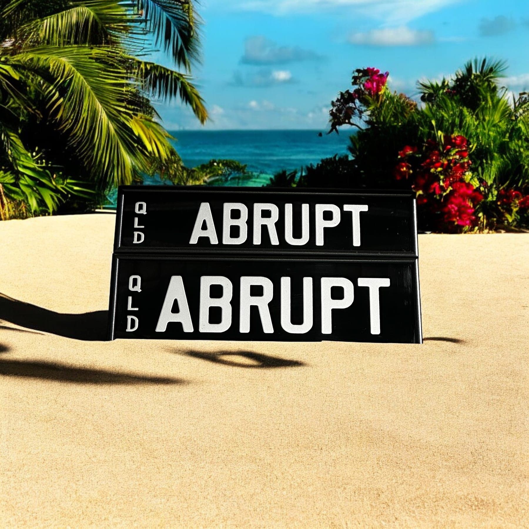 ABRUPT photo 2