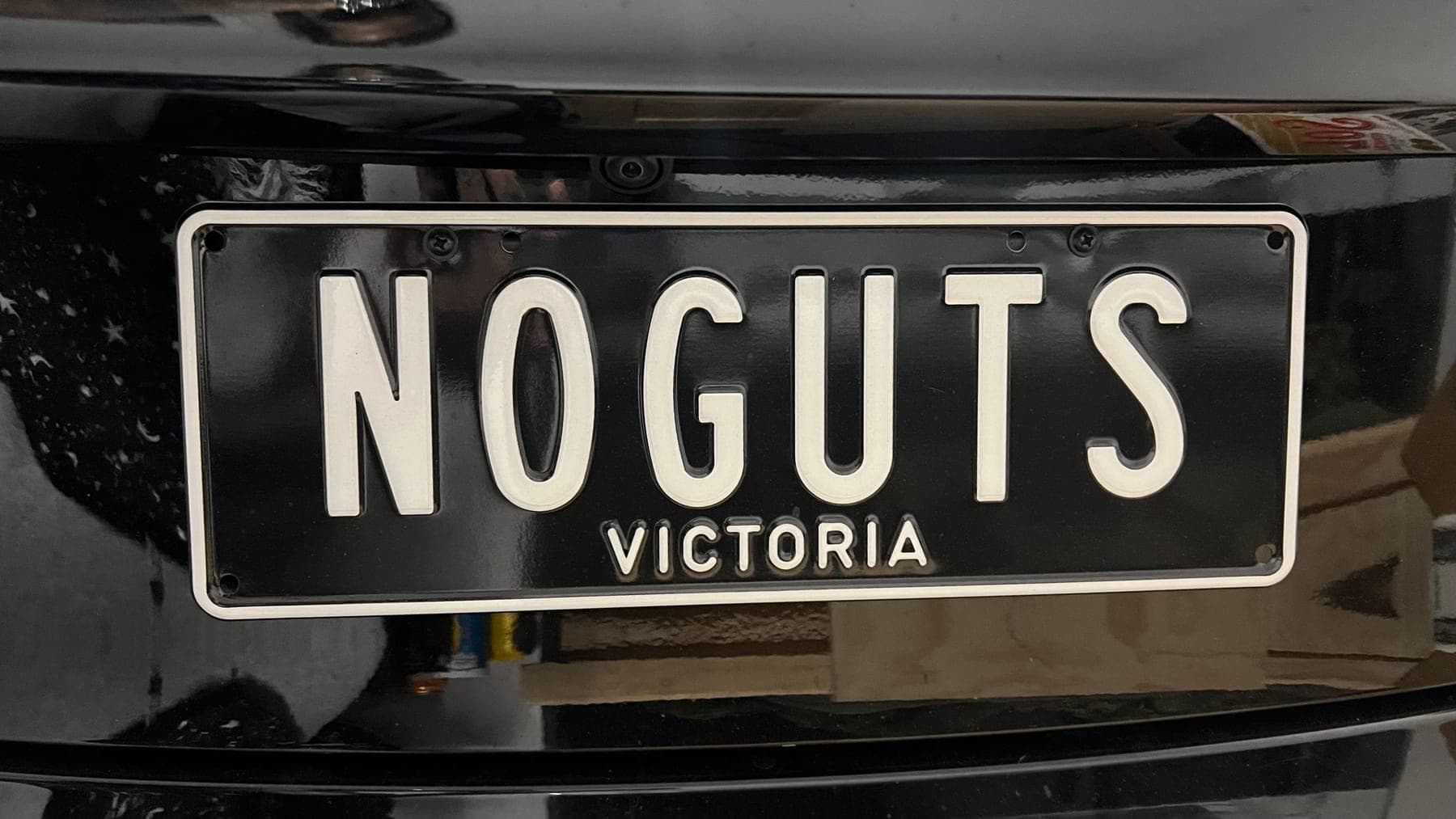 NOGUTS photo 1