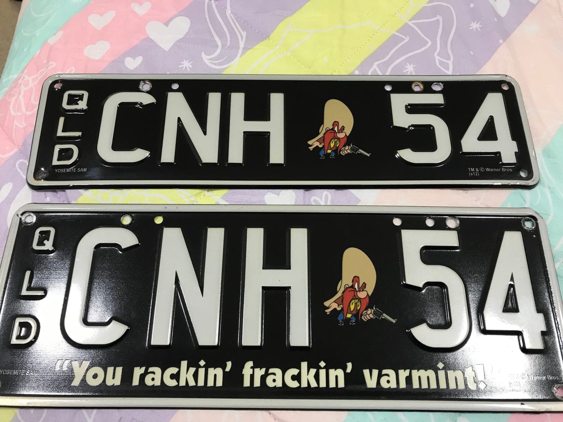 CNH54 photo 2