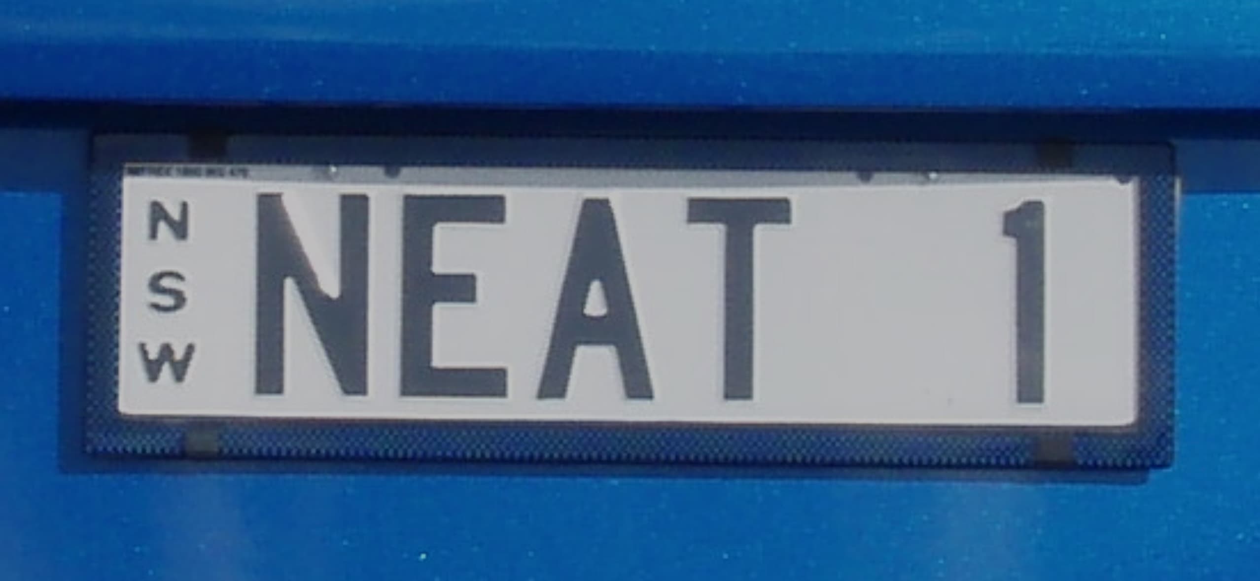 NEAT1 photo 1