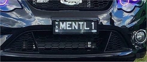 MENTL1 photo 2