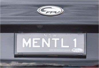 MENTL1 photo 3