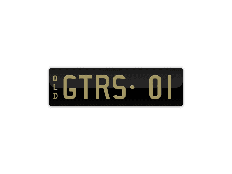 GTRS01 photo 2