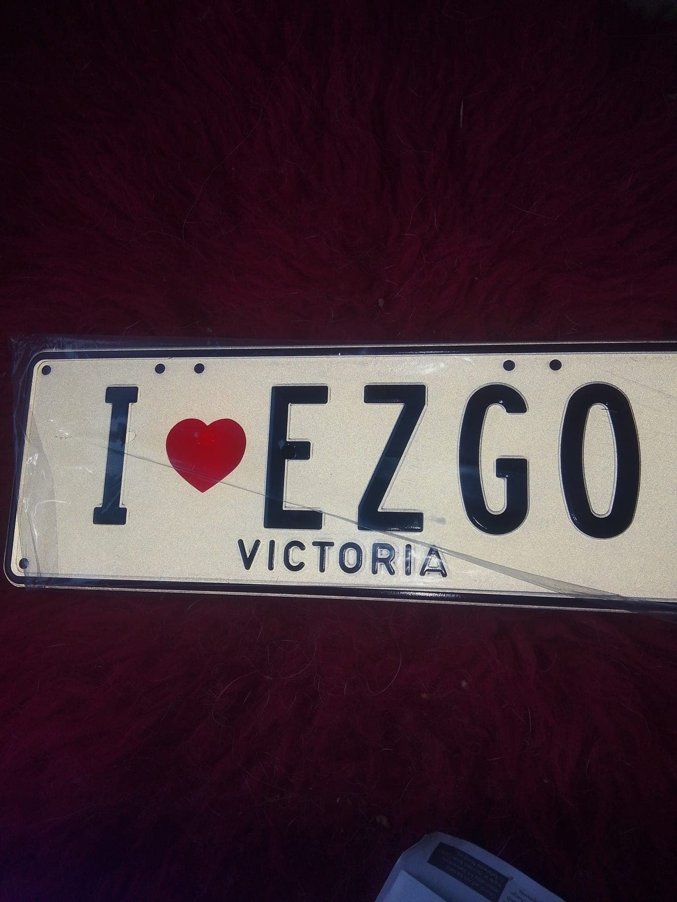 IEZGO photo 1